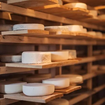 Agroturizam Antunovic Bed & Breakfast 3*