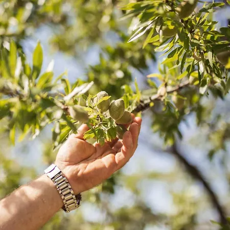 Frühstückspension Agroturizam Antunovic